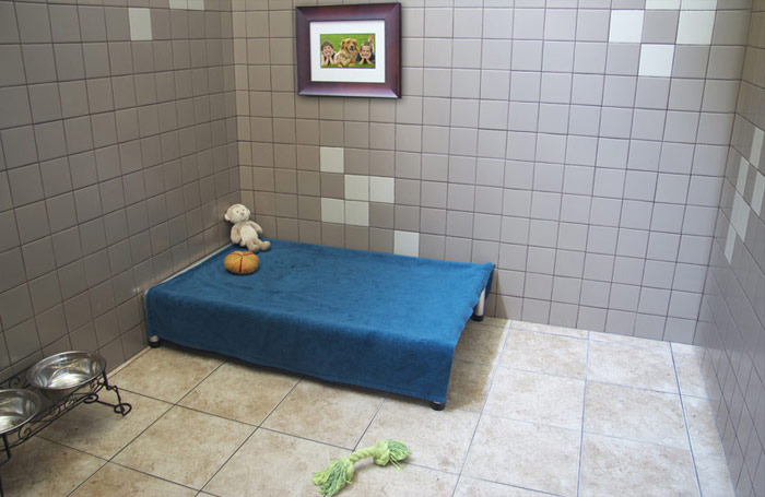 images/Dog%20Boarding/luxury-suite.jpg#joomlaImage://local-images/Dog Boarding/luxury-suite.jpg?width=700&height=455