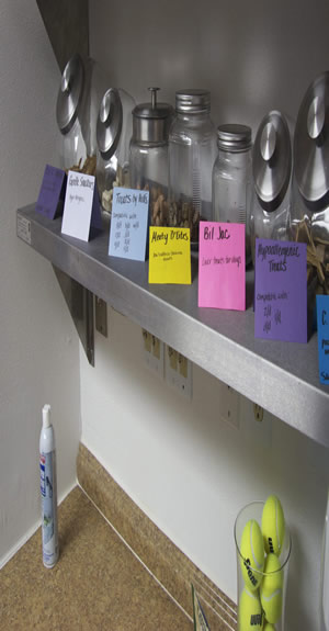 images/Dog%20Boarding/pet-hotel-treats.jpg#joomlaImage://local-images/Dog Boarding/pet-hotel-treats.jpg?width=300&height=575