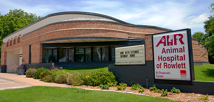 Animal Hospital of Rowlett