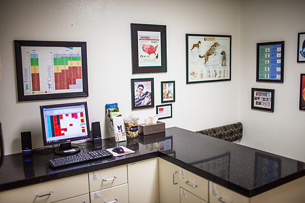 images/exam-room.jpg#joomlaImage://local-images/exam-room.jpg?width=600&height=400