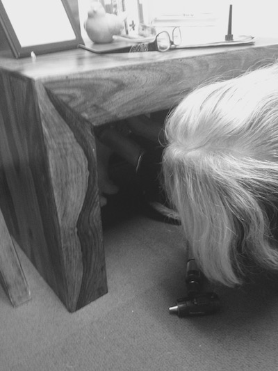 dear-free-handling vet practice